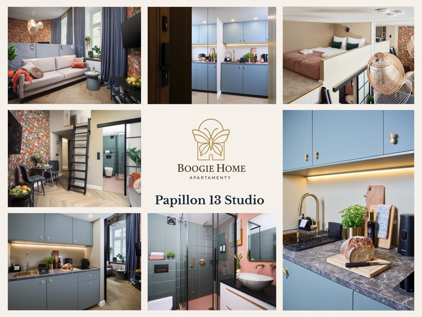BOOGIE Home Papillon 13 Studio